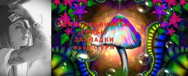 бутират Белокуриха