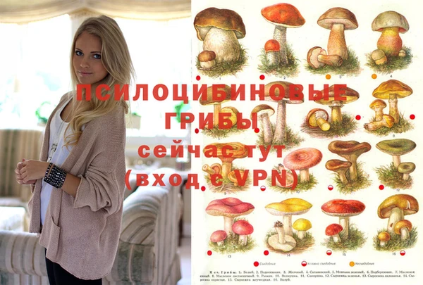 бутират Белокуриха