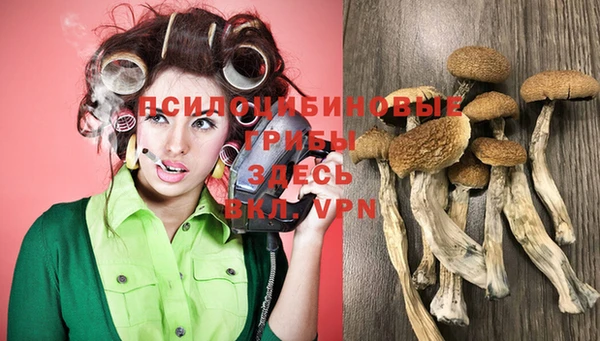 прущая мука Беломорск