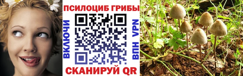 Псилоцибиновые грибы мухоморы  мега онион  Онега 